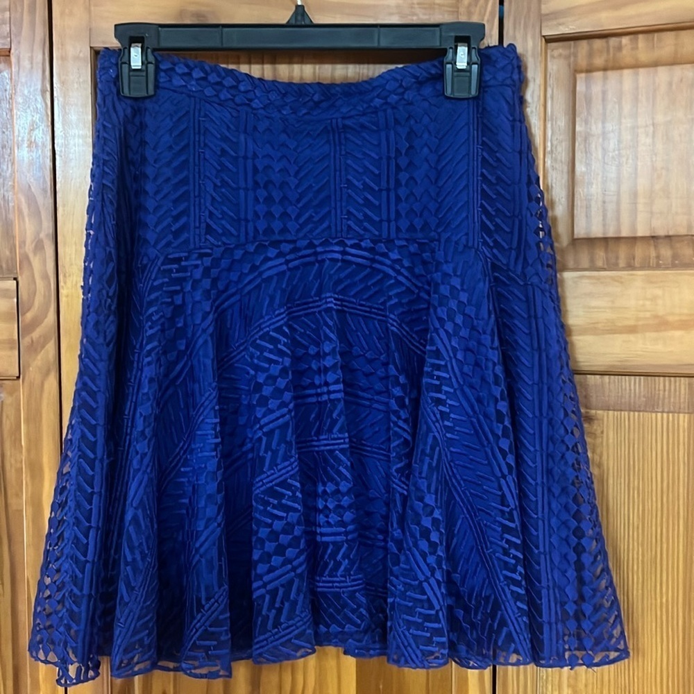H&M Skirt with Lace Overlay